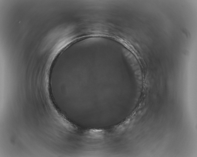 X0000111370055200908071222