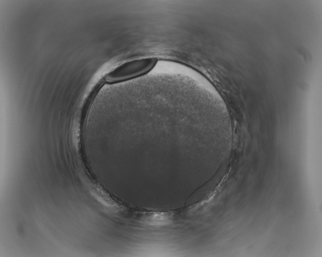 X0000111370056200908071222