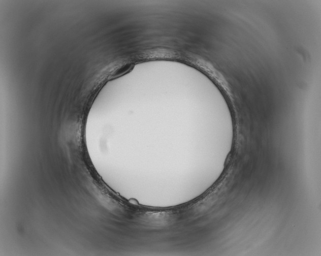 X0000111370057200908071222