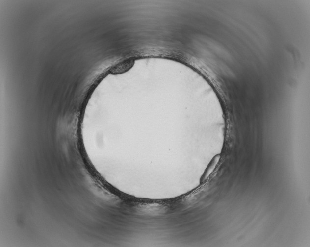 X0000111370058200908071222