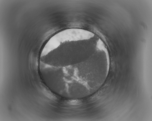 X0000111370059200908071222