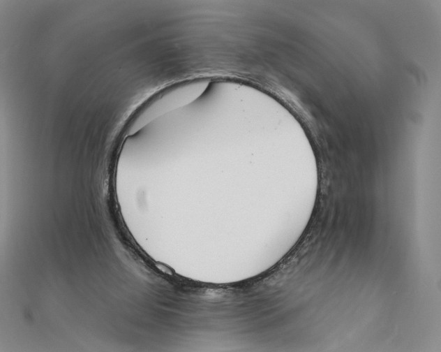 X0000111370060200908071222