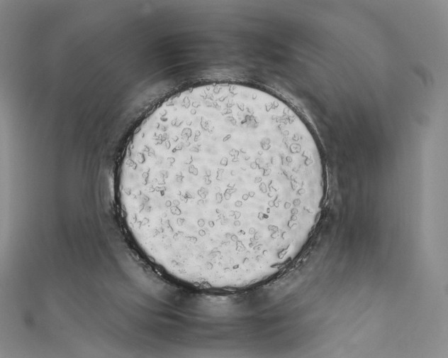 X0000111370061200908071222