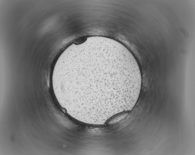 X0000111370062200908071223