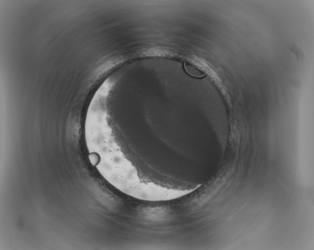 X0000111370063200908071223