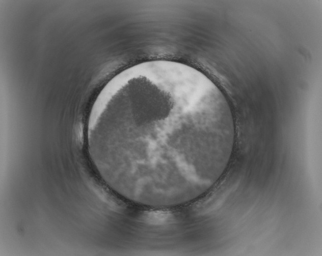X0000111370067200908071223