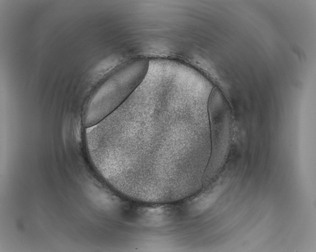 X0000111370068200908071223