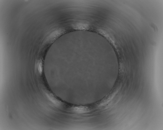X0000111370069200908071223