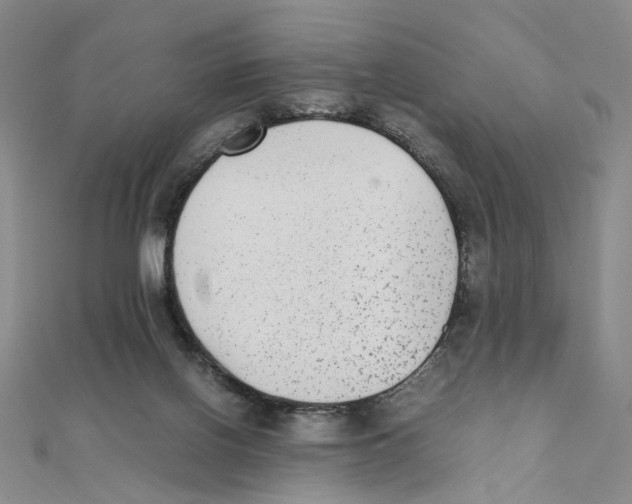 X0000111370070200908071223