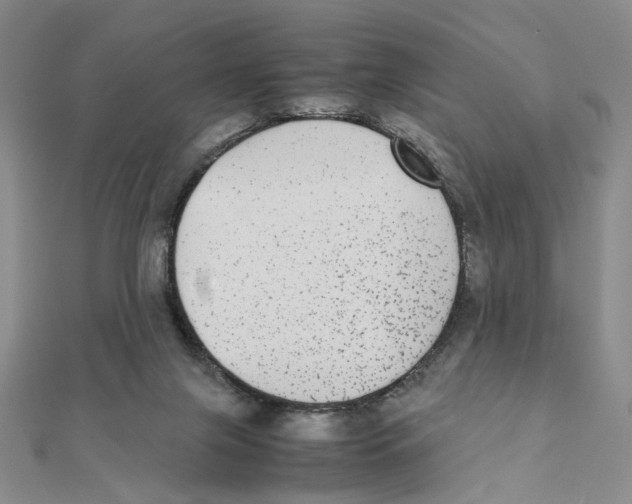 X0000111370071200908071223