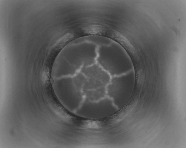 X0000111370073200908071223