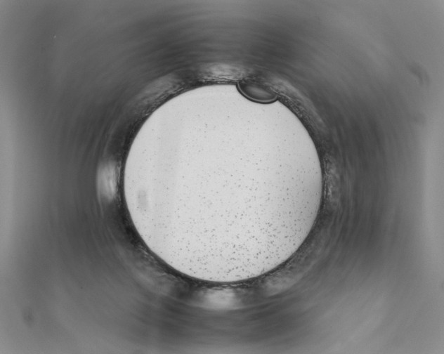 X0000111370075200908071223