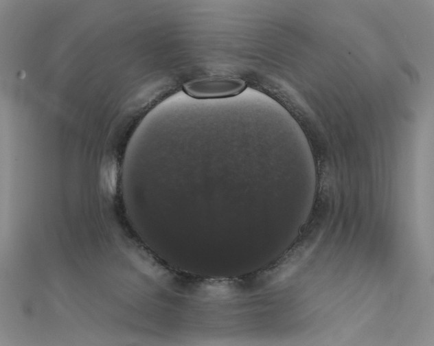 X0000111370076200908071223