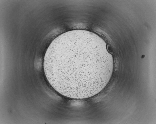 X0000111370077200908071223