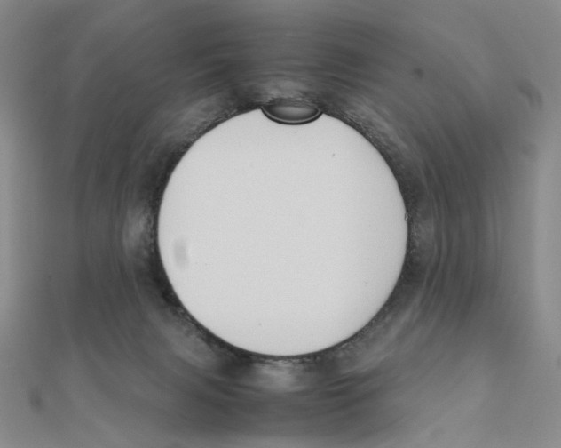 X0000111370079200908071223