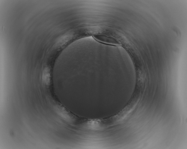 X0000111370080200908071223