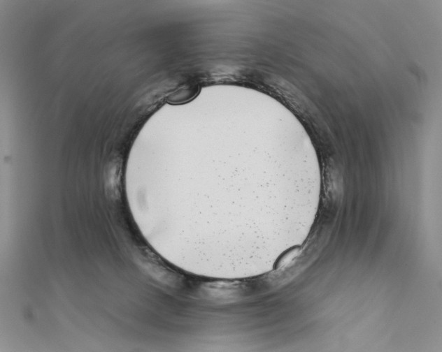 X0000111370082200908071223