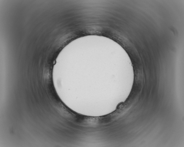 X0000111370084200908071223