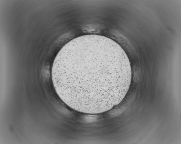 X0000111370085200908071223