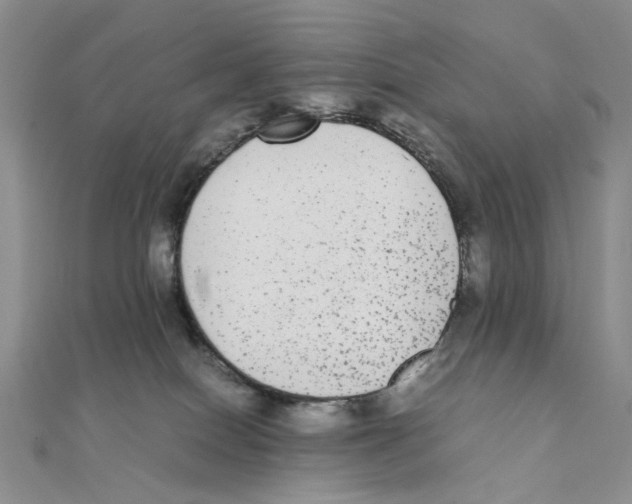 X0000111370086200908071223