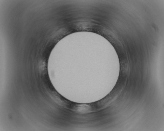 X0000111370087200908071223