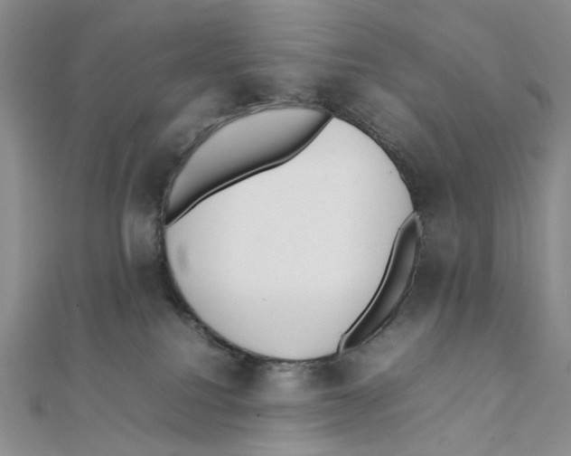 X0000111370088200908071223