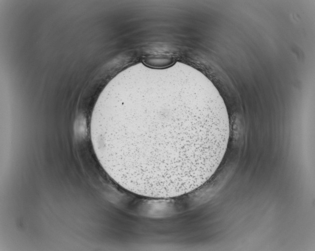 X0000111370089200908071223
