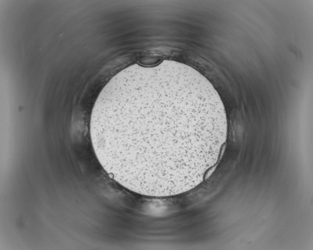 X0000111370091200908071223