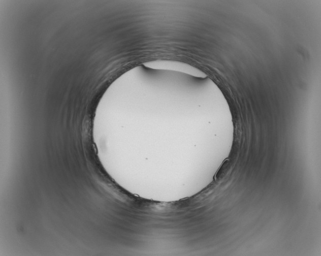 X0000111370092200908071223