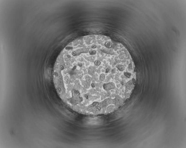 X0000111370093200908071223