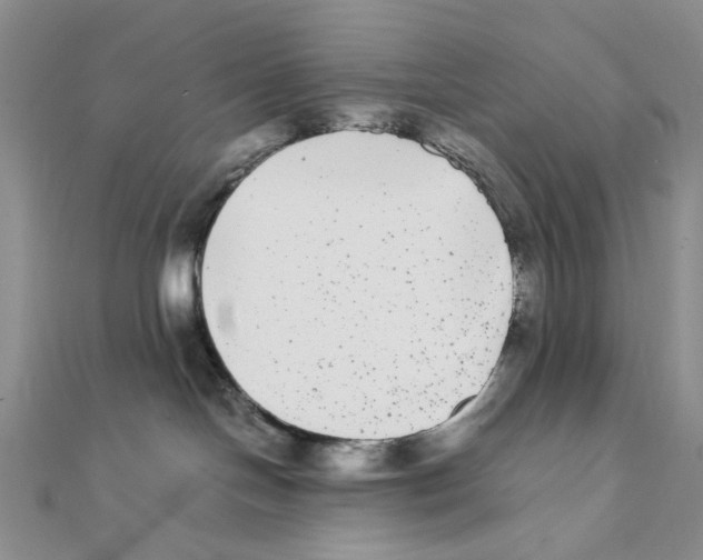 X0000111370094200908071223
