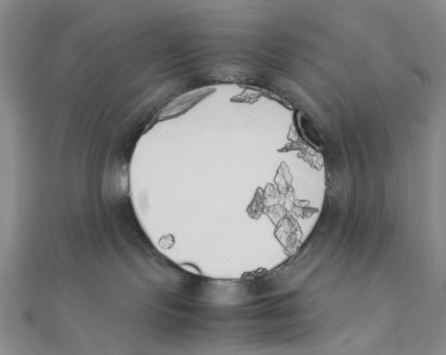 X0000111370095200908071223