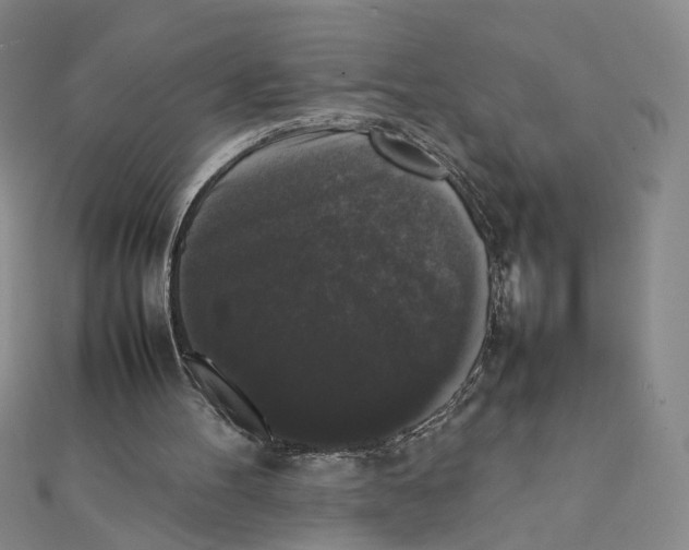 X0000111370100200908071222