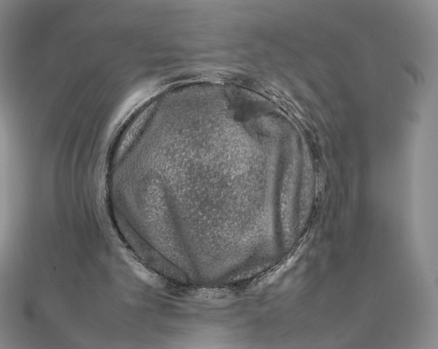 X0000111370101200908071222