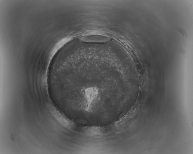 X0000111370104200908071222
