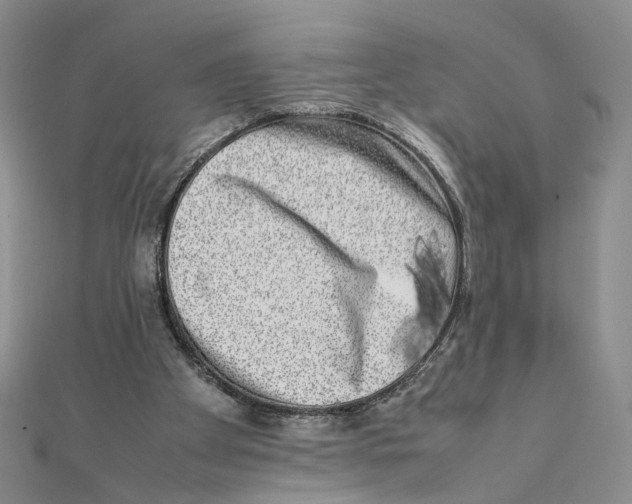 X0000111370105200908071222