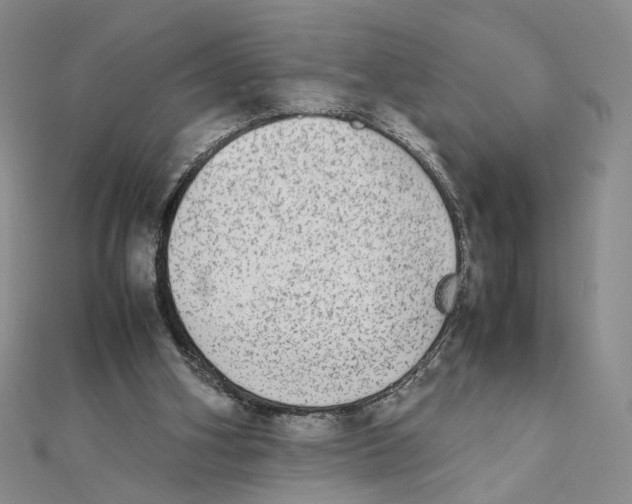 X0000111370106200908071222