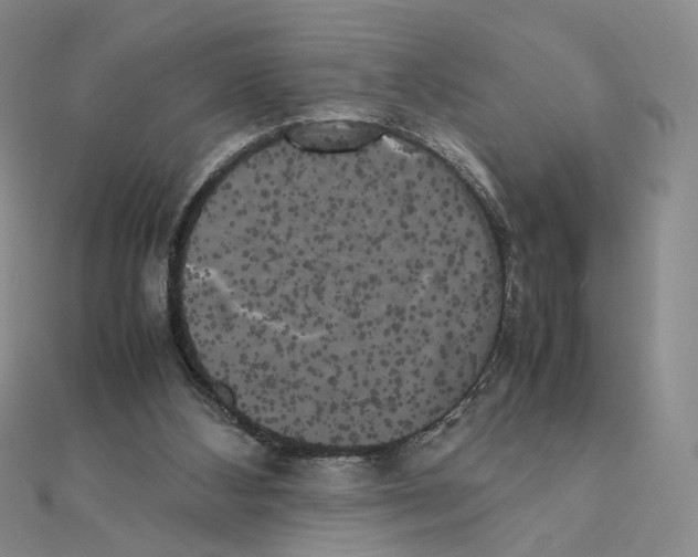 X0000111370108200908071222