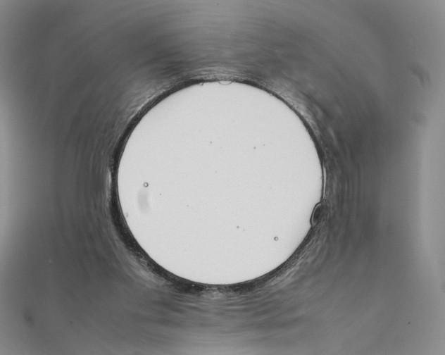 X0000111370109200908071222