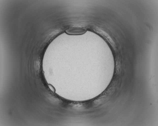 X0000111370113200908071222