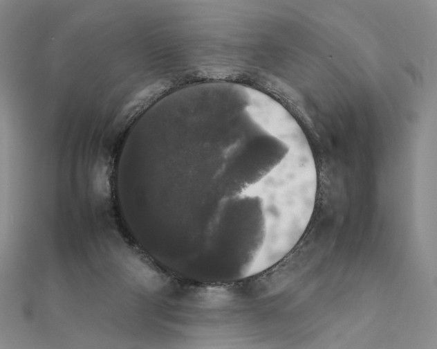 X0000111370114200908071222