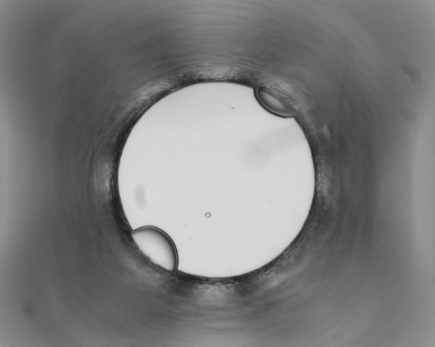 X0000111370115200908071222