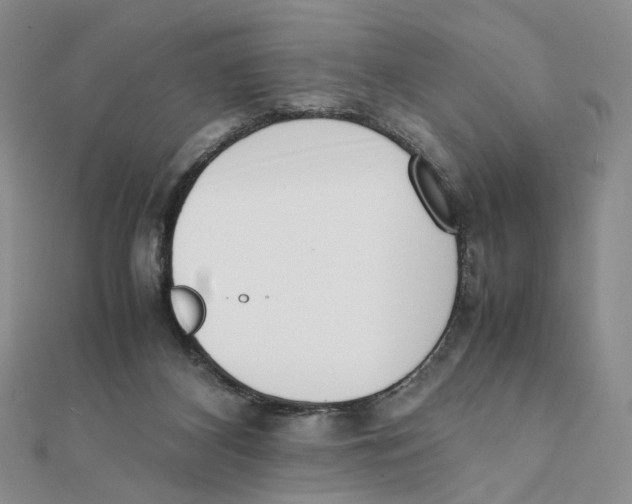 X0000111370116200908071222