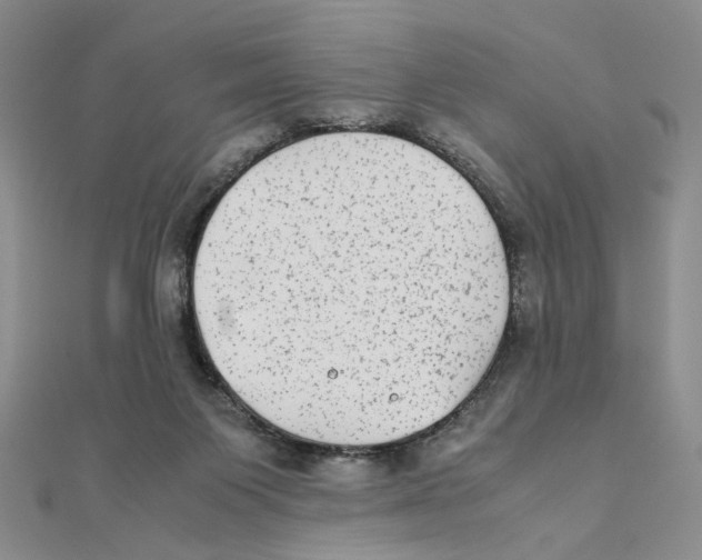 X0000111370119200908071222