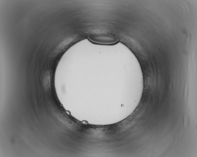 X0000111370120200908071222