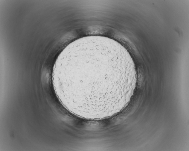 X0000111370123200908071222