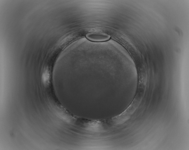 X0000111370124200908071222
