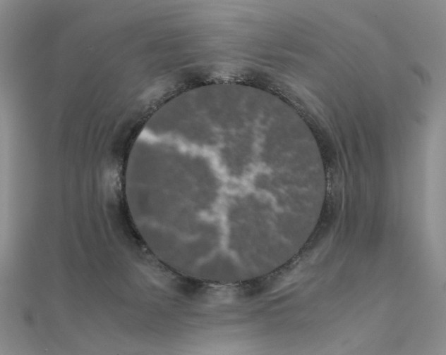 X0000111370127200908071222