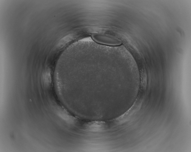 X0000111370128200908071222