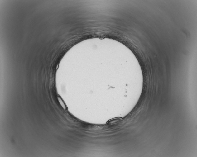 X0000111370129200908071222